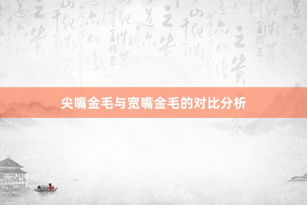 尖嘴金毛与宽嘴金毛的对比分析