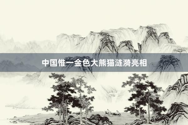 中国惟一金色大熊猫涟漪亮相